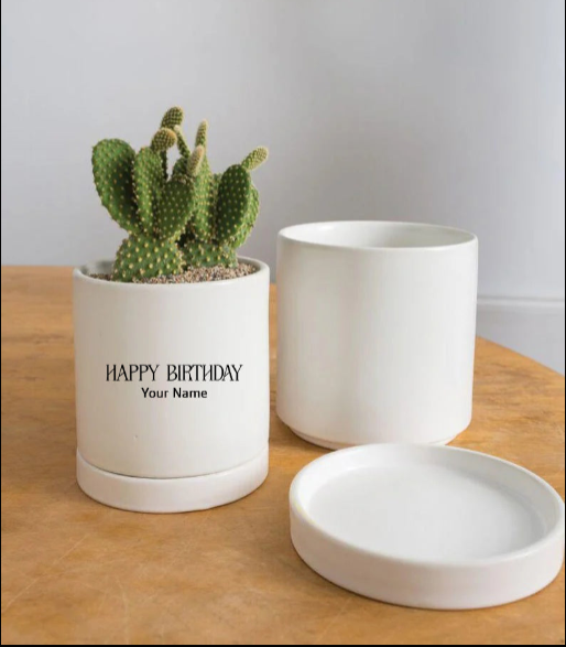 Personalized Ceramic Planter for Him